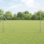 Euro tvora 1 x 10 m PVC padengta geležis
