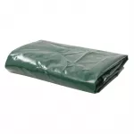 Tentas, 650g/m&sup2;, 2x3m, žalias