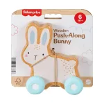 Fisher-Price medinis stumdomas triu&scaron;iukas