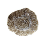 Lėk&scaron;tė REEF MARINE gili 23x20 cm