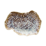 Lėk&scaron;tė ovali Reef Marine 30x20 cm