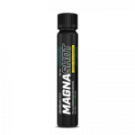 Biotech Magna Shot 25ml.