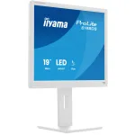 iiyama ProLite B1980S-W1 19" monitorius, TN, SXGA 5:4, reguliuojamas auk&scaron;tis, baltas (B1980S-W1)