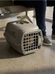 Sinsay - Plastikinis gyvūnų transporteris - tamsiai pilka