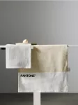 Sinsay - Virtuvinių rank&scaron;luosčių rinkinys 2 vnt. Pantone - kreminė
