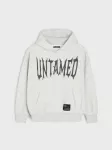 Sinsay - Oversize hoodie džemperis su spauda - &scaron;viesiai pilka