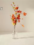 Sinsay - Dekoratyvinis augalas su moliūgų ir rudens lapų motyvu - multicolor