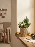 Sinsay - Keraminis vazonas - auksinė