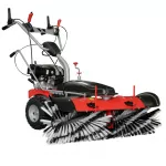 Benzininė valymo ma&scaron;ina RIDER R-100V
