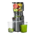 Lėtaeigė sulčiaspaudė AMZCHEF CE-SJ-036C-GA, 2.5 l, 250 W