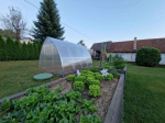&Scaron;iltnamis Klasika Arrow 3x8 m (24 m&sup2;) su 4 mm polikarbonatu