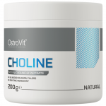 OstroVit Supreme Pure Choline 200 g