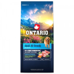 Ontario Adult All Breeds Monoprotein Turkey & Sweet Potatoes sausas maistas visų veislių suaugusiems &scaron;unims su kalakutiena ir saldžiosiomis bulvėmis, 12 kg