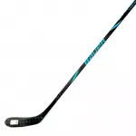 BAUER Nexus Performance S24 40 flex Junior ledo ritulio lazda