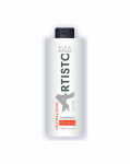 ELEA ARTISTO SALON &scaron;ampūnas po plaukų dažymo 1000 ml