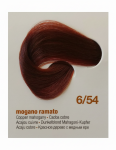 BBCOS INNOVATION EVO plaukų dažai 100 ml - 6/54E