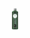 BBCOS MAN REINF&PURIFYING Stiprinamasis ir valomasis &scaron;ampūnas vyrams 250 ml