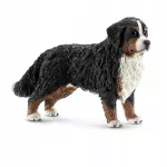 Schleich Berno zenenhundas, 2,5 &times; 8 &times; 5 cm