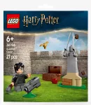 LEGO Harry Potter kvidičo pamokos konstruktorius, 27 detalės, nuo 6 metų