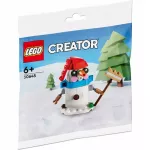 LEGO Creator sniego senio konstruktorius, 78 detalės, 30645