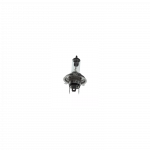 Tolimųjų &scaron;viesų žibinto lemputė BOSCH 1 987 301 054