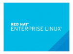 Red Hat Enterprise Linux for SAP Applications for IBM System Z (Disaster Recovery) Linux 1 licencija 1 metas