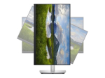 Dell P2423D 24 colių IPS 2560 x 1440 (2K) HDMI DisplayPort 60Hz monitorius