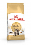 ROYAL CANIN FBN Maine Coon Adult sausasis kačių maistas - 10kg