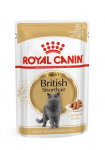 ROYAL CANIN British Shorthair pakuotė 12x85g