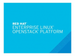 Red Hat Enterprise Linux OpenStack Platform 2 licencijos 1 metai