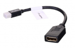 Langberg AD-0003-BK DisplayPort kabelis 0.12 m Mini DisplayPort Juodas