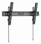 TV RIETAI SIAUBE 43-95"/WM-95T-PRO-01 GEMBIRD