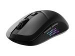 MSI VERSA 300 ELITE optinis belaidis pelė juoda