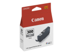 Canon PFI 300 pilka ra&scaron;alo talpykla 4200C001