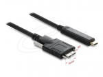 Delock USB 2.0 į USB Type-C kabelis juodas