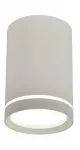 Lubinis &scaron;viestuvas TUBA 6,8 10 1x15 W GU10, matinės baltos spalvos