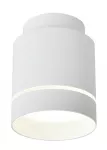 Įleidžiamas &scaron;viestuvas TUBE CEILING 7,9 10,2 4000K LED 12 W, baltos spalvos