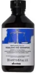 Davines Natural Tech Rebalancing Shampoo (oily hair) 250ml