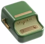 Niimbot B21 Pro Portable Label Printer (dark green)