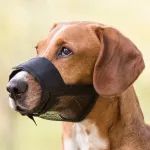 Antsnukis &scaron;unims - Trixie Muzzle, Nylon. Size S-M, Snoup strap 17-23 cm, Neck Starp 4.3cm