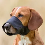 Dog muzzle - Trixie Muzzle, Nylon. Size L-XL, Snoup strap 35 cm, 9 cm