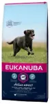 Dry food for dogs - Eukanuba Adult Large Chicken, 16,5 kg