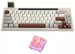Mechanical keyboard Epomaker RT65 Flamingo Switch grey-white