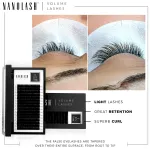 Nanolash Volume Lashes Mākslīgās skropstas 0.15 C 11 mm