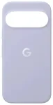 Google Pixel 11 dėklas Frost