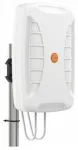 Poynting A-XPOL-0024-V1-01, N tipo sieninis jungtis