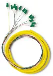 Qoltec 12 x Pigtail fiber optic LC/APC | Singlemode | G652D | 2m