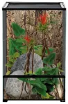 Terrarium: Repti Planet Terrarium 60x45x90cm