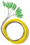 Qoltec 12 x Pigtail fiber optic SC/APC | Singlemode | G657A2 | 2m