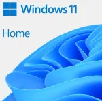 Programinė įranga MICROSOFT Windows 11 Home 64Bit English International 1 vnt. DSP OEI DVD OEM